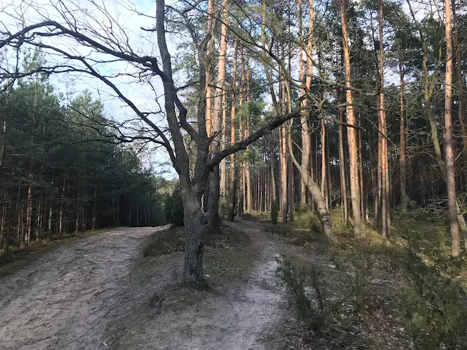Rajskie Jezioro w Nieporęcie
